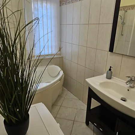 Cozy 公寓 布达佩斯
